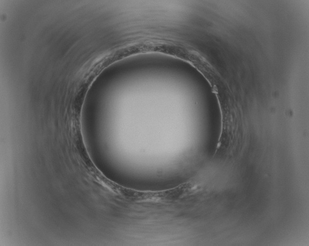 X0000077380773200611031935