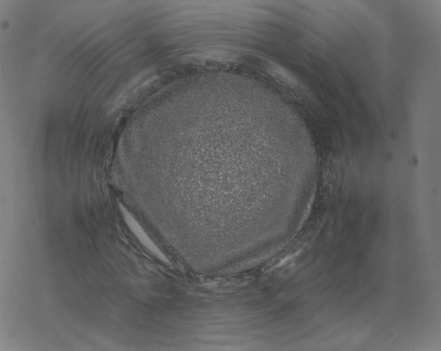 X0000077380774200611031935