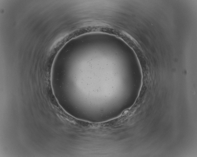 X0000077380775200611031935