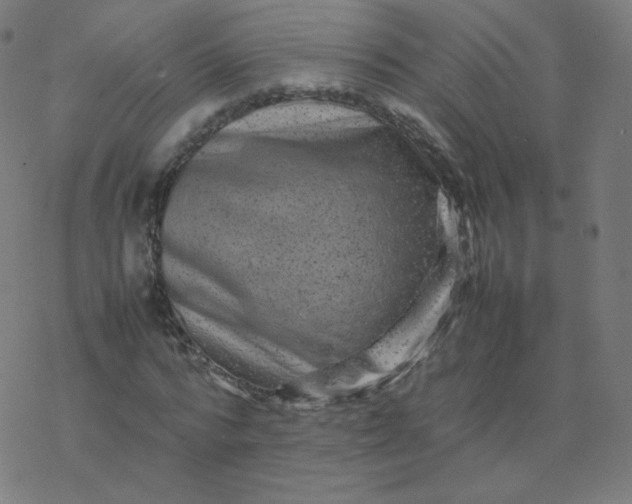 X0000077380776200611031935