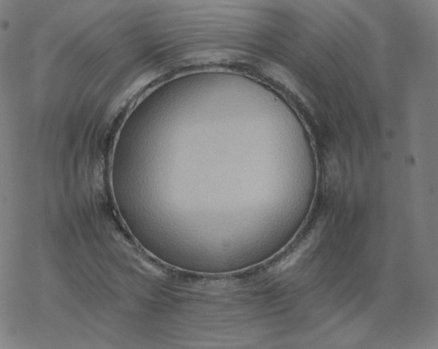 X0000077380778200611031935