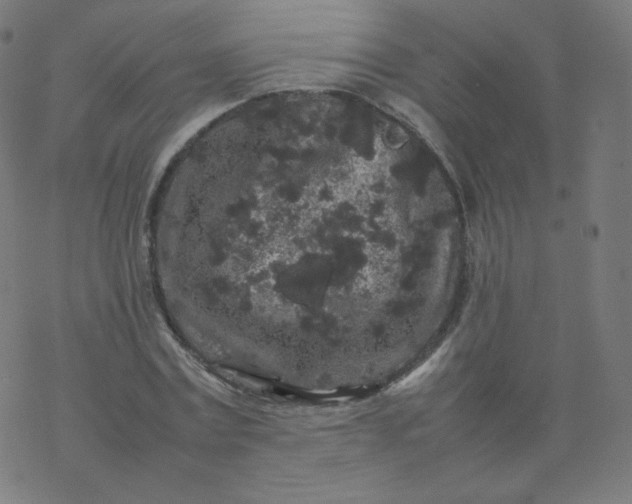 X0000077380779200611031935