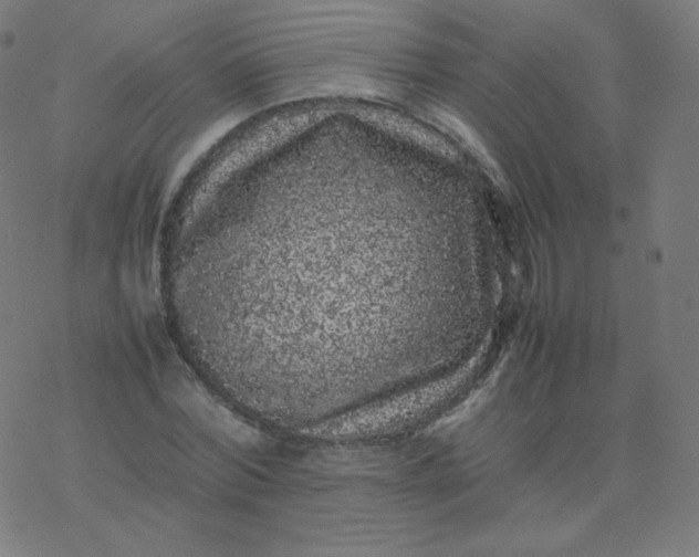 X0000077380780200611031935