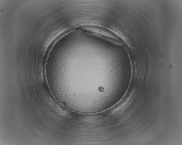 X0000077380782200611031935