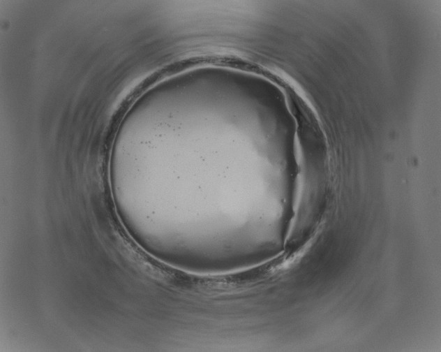 X0000077380783200611031935