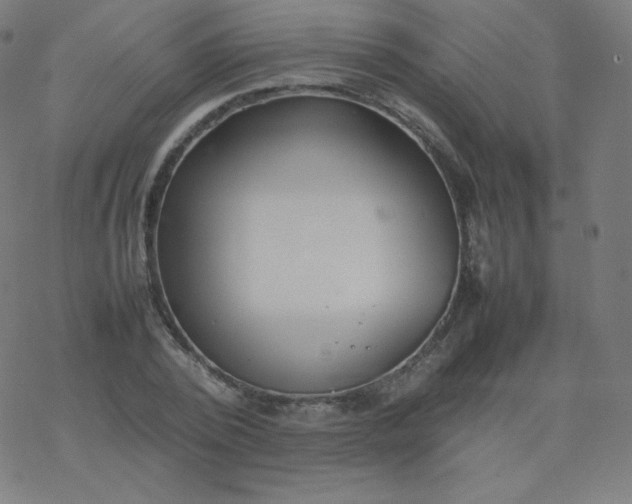 X0000077380784200611031935