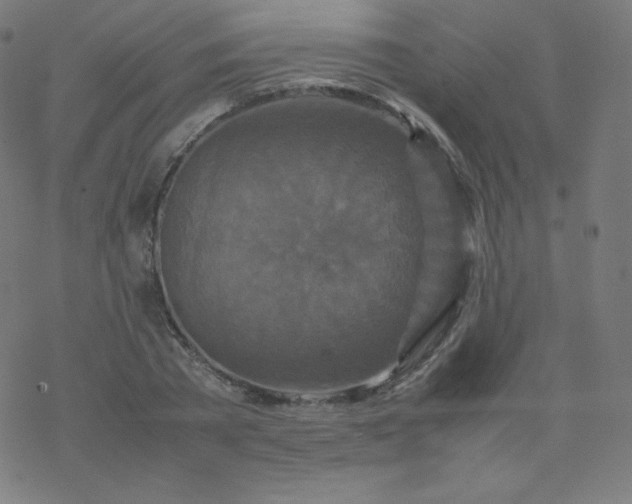 X0000077380785200611031935