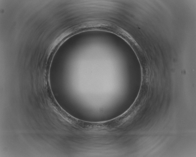 X0000077380786200611031935