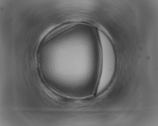 X0000077380787200611031935