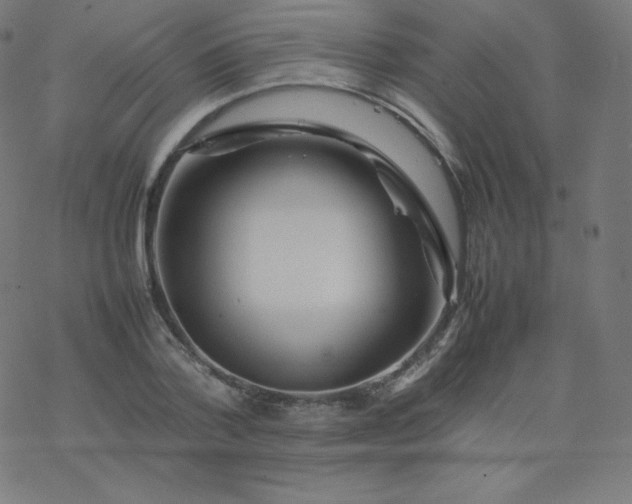 X0000077380788200611031935