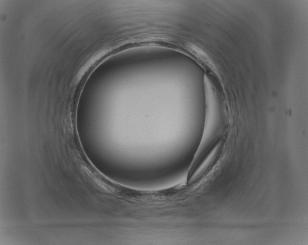 X0000077380789200611031935