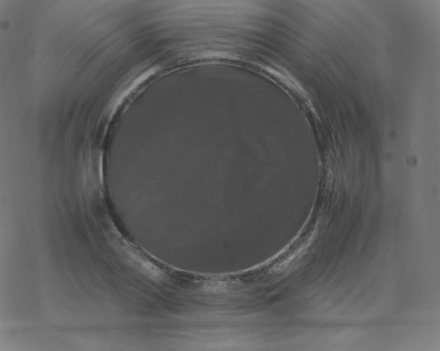 X0000077380790200611031935