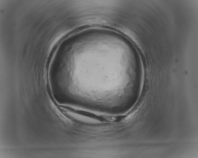 X0000077380791200611031935