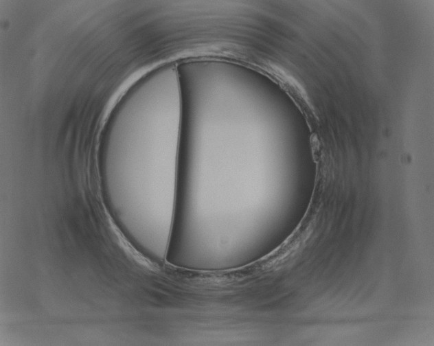 X0000077380792200611031935