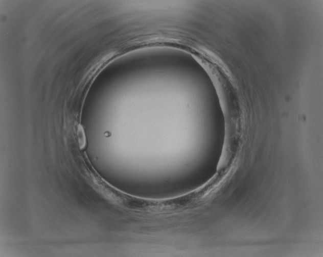 X0000077380793200611031935