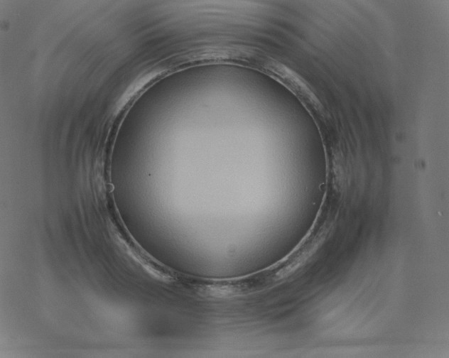 X0000077380794200611031935