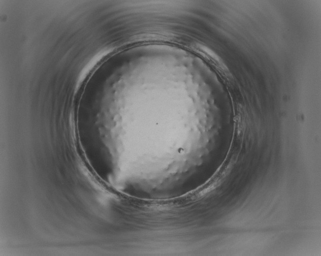 X0000077380796200611031935