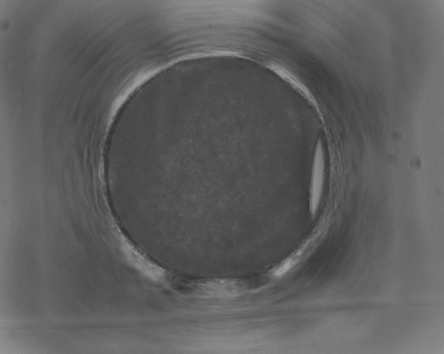 X0000077380797200611031935