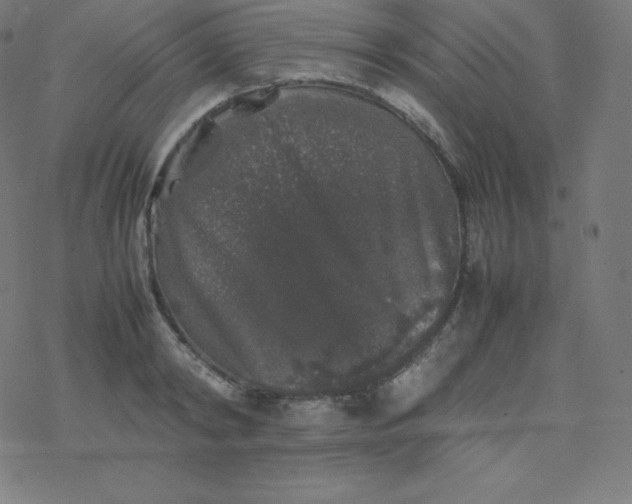 X0000077380798200611031935