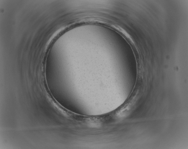 X0000077380799200611031935