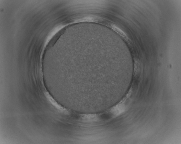 X0000077380800200611031935