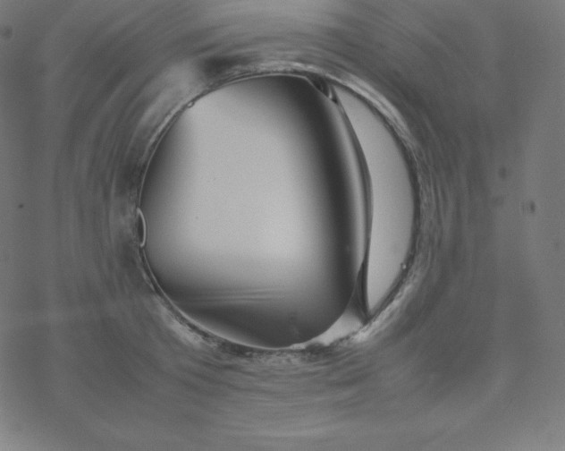 X0000077380801200611031935