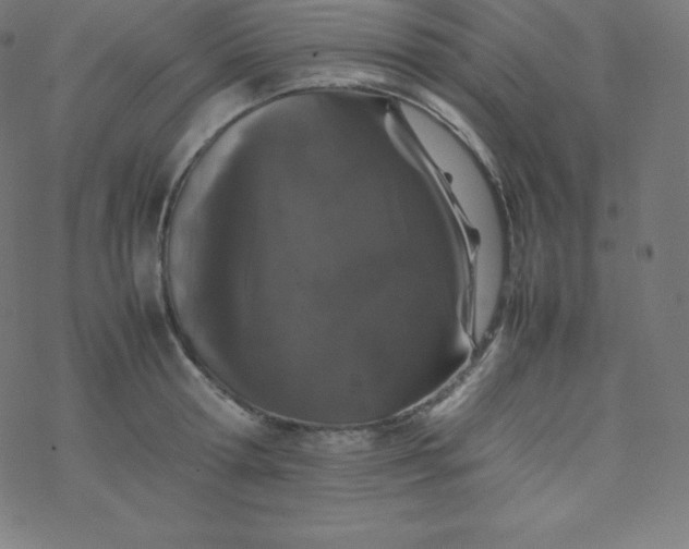 X0000077380802200611031935