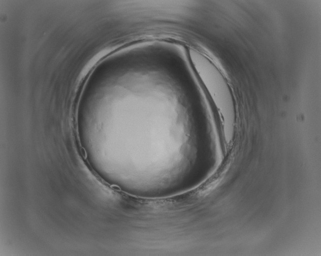 X0000077380803200611031935