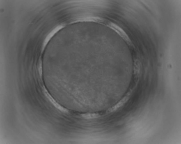 X0000077380804200611031935