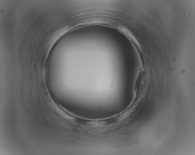 X0000077380805200611031935