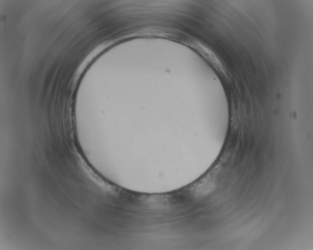 X0000077380808200611031935