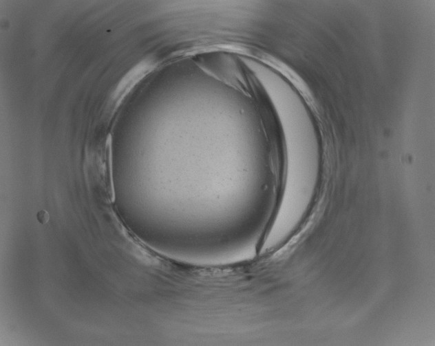 X0000077380809200611031935