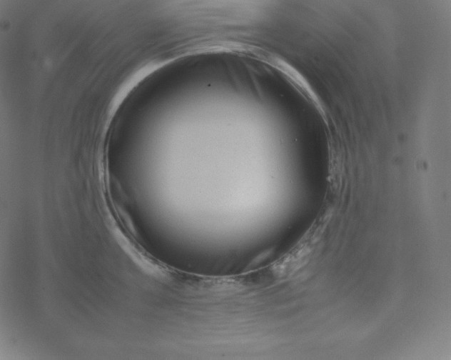 X0000077380811200611031935