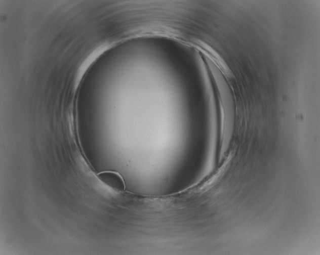 X0000077380812200611031935