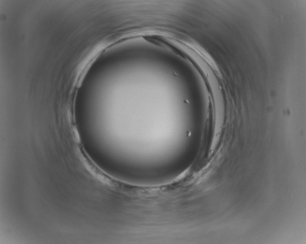 X0000077380813200611031935