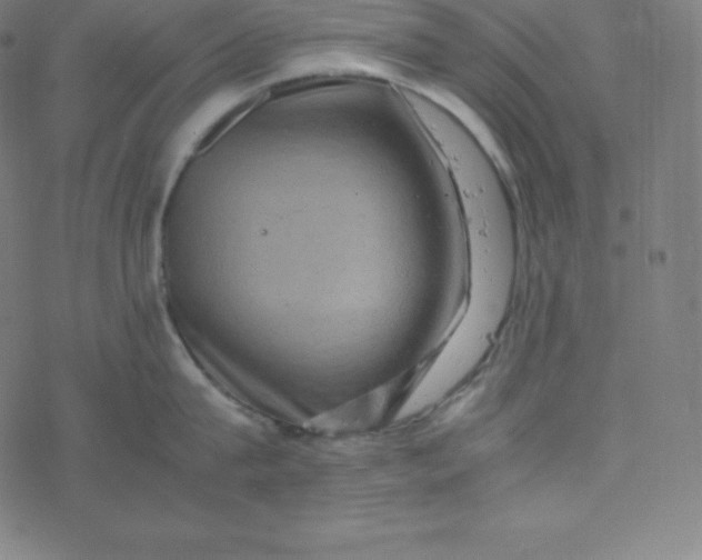 X0000077380815200611031935