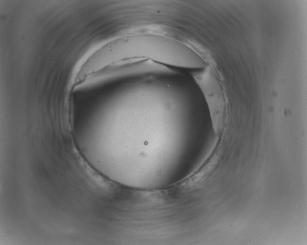 X0000077380816200611031935