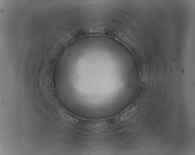 X0000077380817200611031934