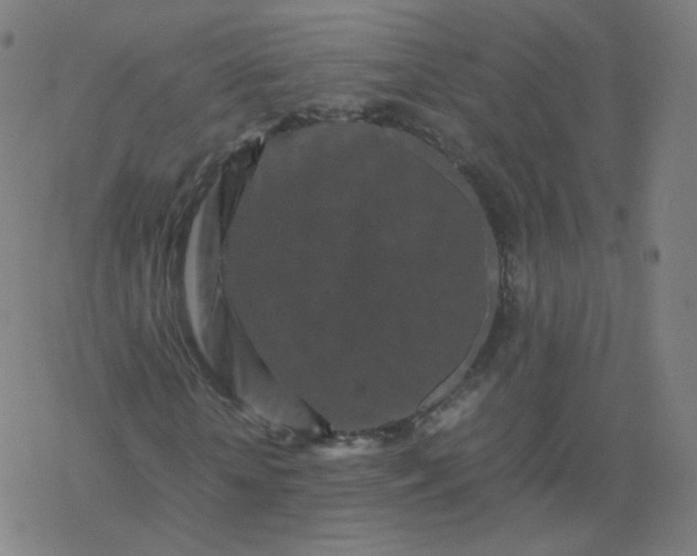 X0000077380818200611031934