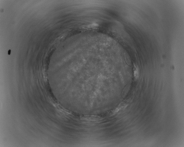 X0000077380819200611031934