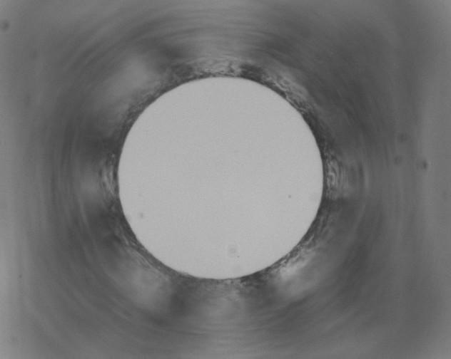 X0000077380820200611031934