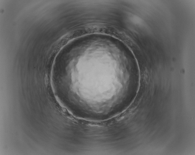 X0000077380821200611031934