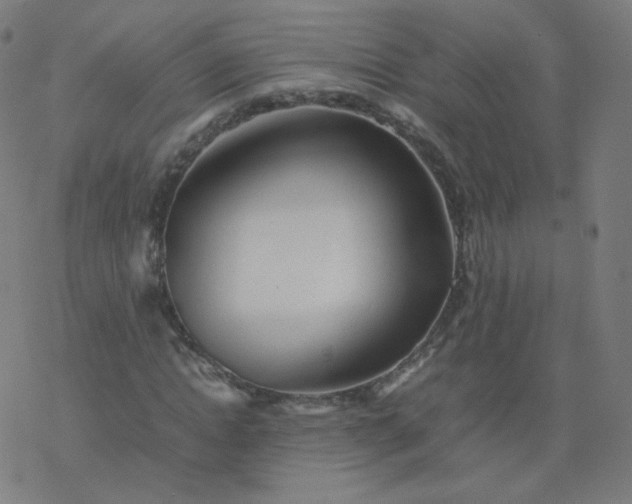 X0000077380822200611031934