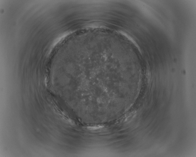 X0000077380823200611031934