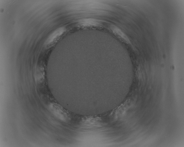 X0000077380824200611031934