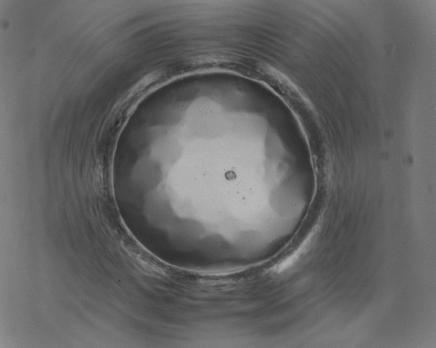 X0000077380825200611031934