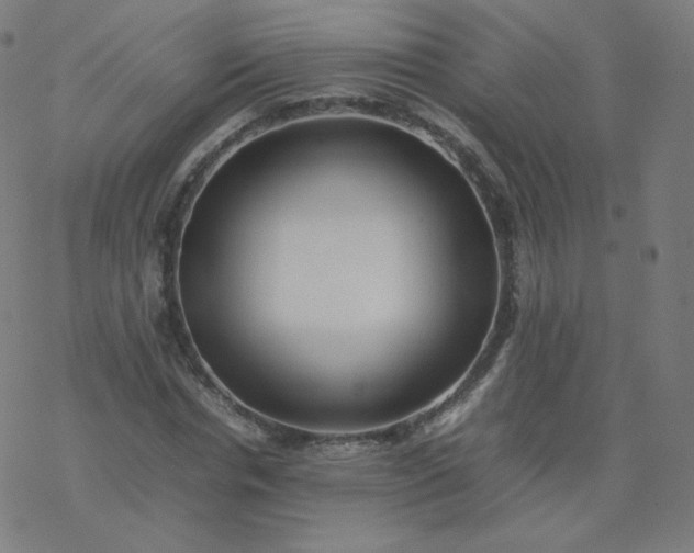 X0000077380826200611031934