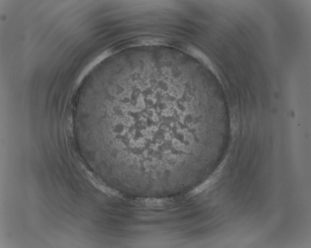 X0000077380827200611031934