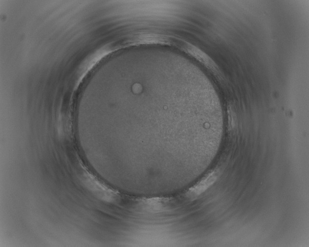 X0000077380828200611031934