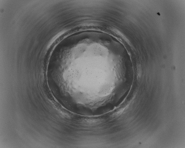 X0000077380829200611031934